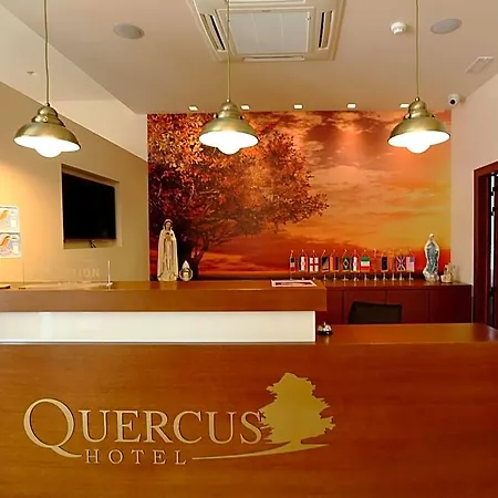 Quercus Međugorje